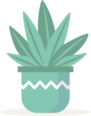 NewPlantF@3x